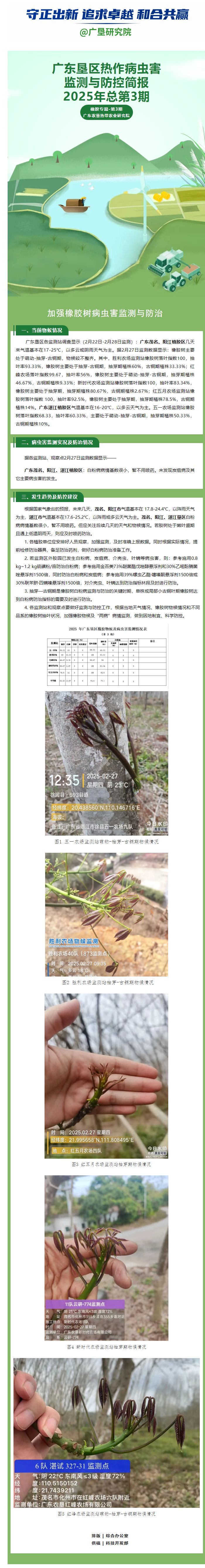 广东垦区热作病虫害监测与防控简报——橡胶专篇第3期（2025年总第3期）.png